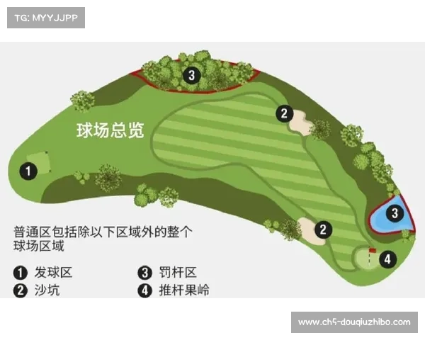 以平均杆数为核心探讨高尔夫球员表现分析与赛事策略优化